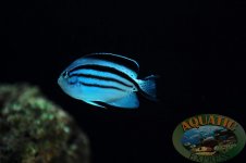 DSC_0013.JPG