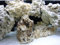 New Tank Photos with water! 004.JPG