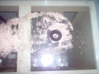 Oceanic 75 G Tank & Stand& Glass Canopy 007.jpg