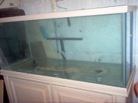 Oceanic 75 G Tank & Stand& Glass Canopy 009.jpg