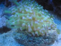 IMG_3921.jpg