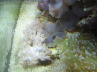 IMG_3931.jpg
