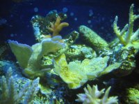 IMG_3926.jpg