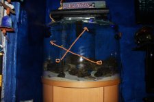 IMG_5906.jpg