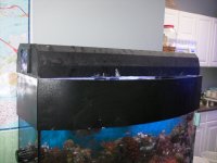 PICT0004.JPG