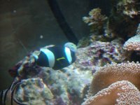 DSCF7093.jpg