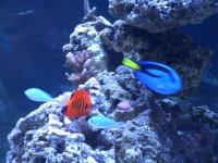 IMG_0156.jpg