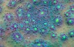 starry_rainbow_alieneye.jpg