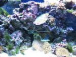 th_IMG_0013.jpg