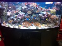 tank11301.jpg