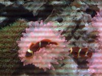 IMG_0380.jpg