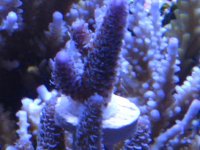 Img_0068.jpg