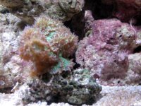 IMG_1151.JPG