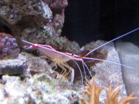 IMG_1153.JPG