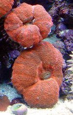 DSC04994_edited-3.jpg