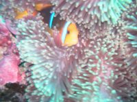 Picture-honeymoon 2 171.jpg