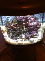 IMG_0037.jpg