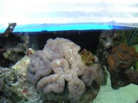 DSCN0956.jpg