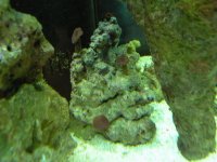 DSCN0957.jpg