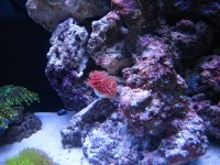 IMG_0949.jpg
