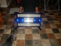 4th of july 2009 003.jpg 4th of july 2009 003.jpg