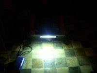 4th of july 2009 005.jpg 4th of july 2009 005.jpg