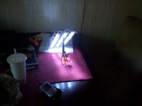 100_2128.jpg