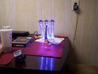 100_2130.jpg