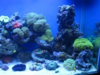 new tank pics 266.jpg