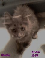 iphone pics 014.jpg
