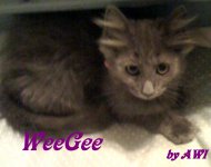 iphone pics 018.JPG