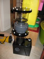 IMG_0491.jpg