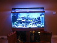 tank sale 044.jpg