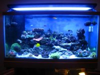 tank sale 046.jpg