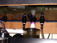 IMG_1021.JPG