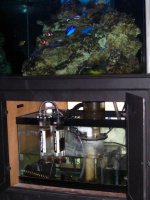 IMG_1023.jpg