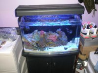 Frags for sale 006.jpg