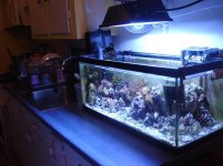 kitchen tank side.JPG