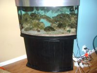 fish tank 003.jpg