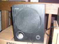 scolis 020.jpg