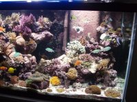 P2150207 (Custom).JPG