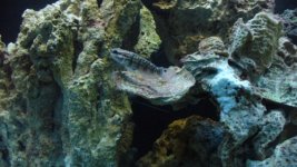 pic 8 (500 x 281).jpg