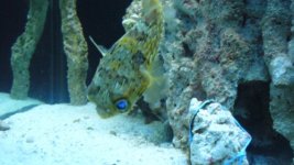 pic 9 (500 x 281).jpg