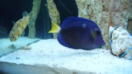 pic 10 (500 x 281).jpg