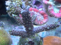 JAN 9TH 2006 001.jpg