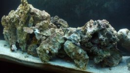 long (500 x 281).jpg