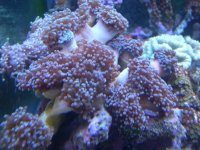 JAN 9TH 2006 002.jpg