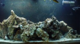 tank11 (500 x 281).jpg