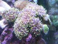 JAN 9TH 2006 003.jpg