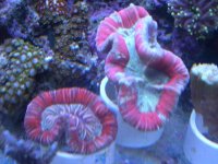 JAN 9TH 2006 005.jpg